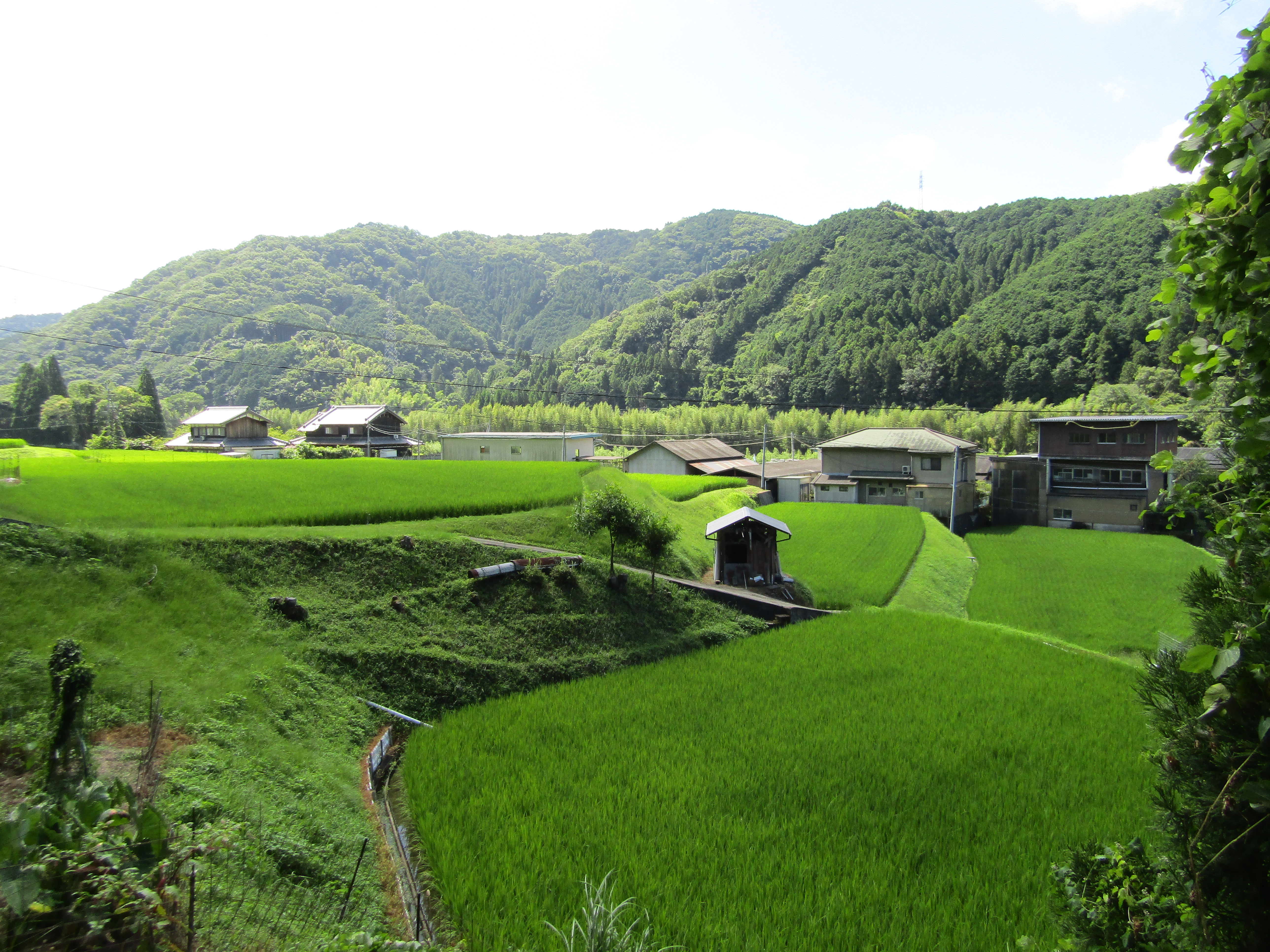 有市地区の田園風景